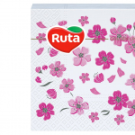   Ruta  40   